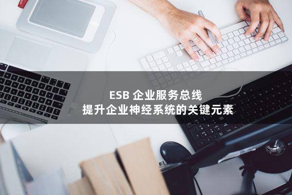 ESB(企业服务总线)：提升企业神经系统的关键元素